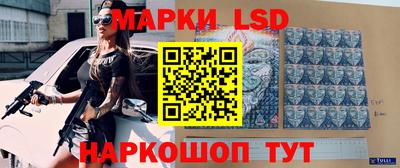 индика Кандалакша