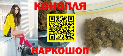 индика Кандалакша