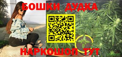 индика Кандалакша